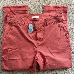 Coral pants